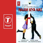 Naam Kya Hai (1999) Mp3 Songs